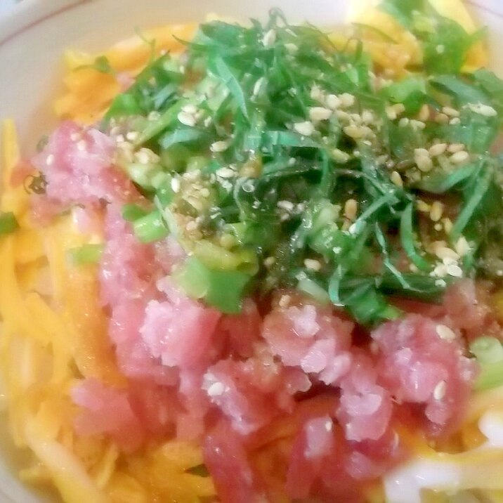 ネギトロ丼